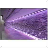 2025-05-28 -4-10- Beurs 09.jpg